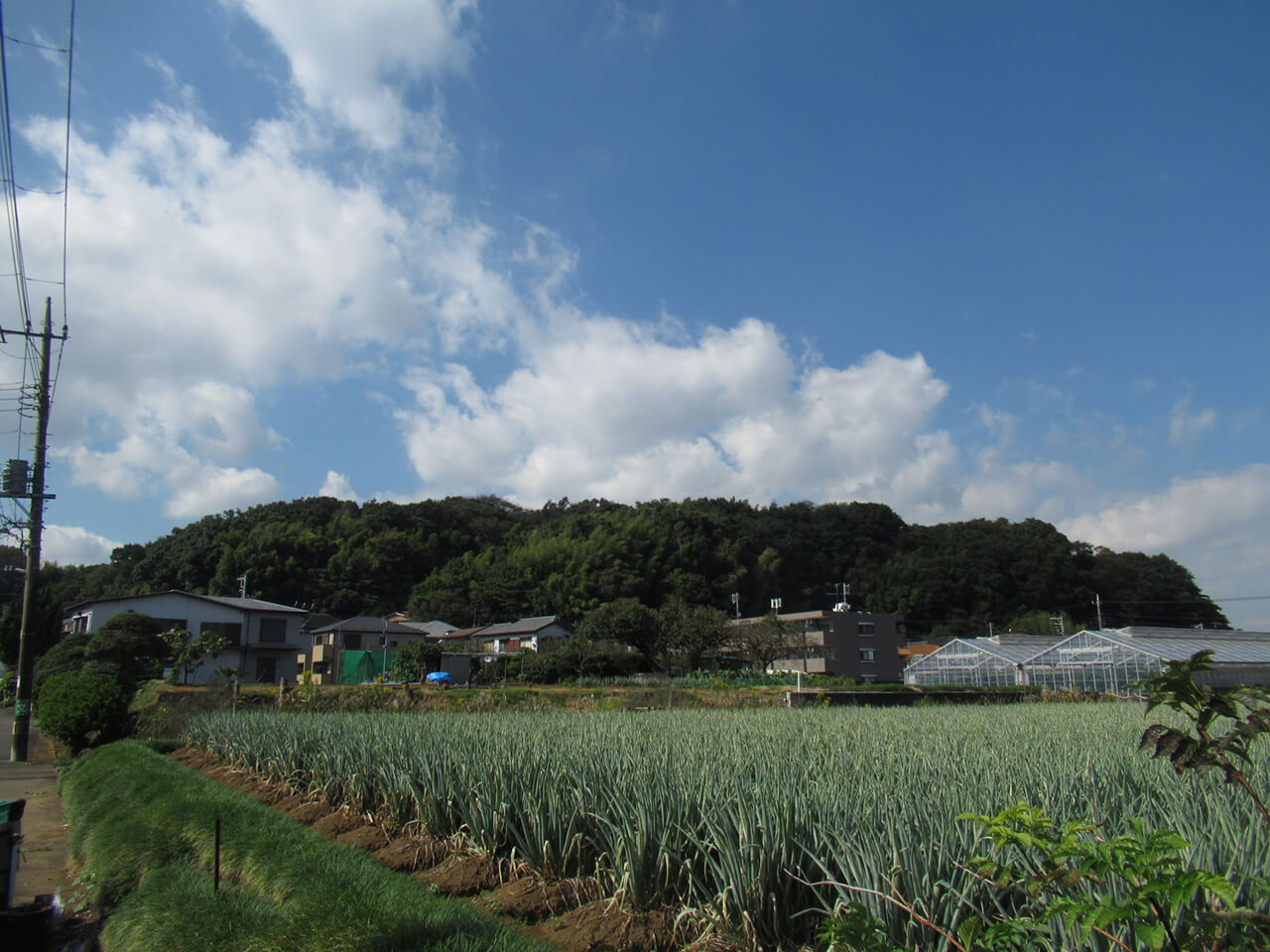 小机城址市民の森