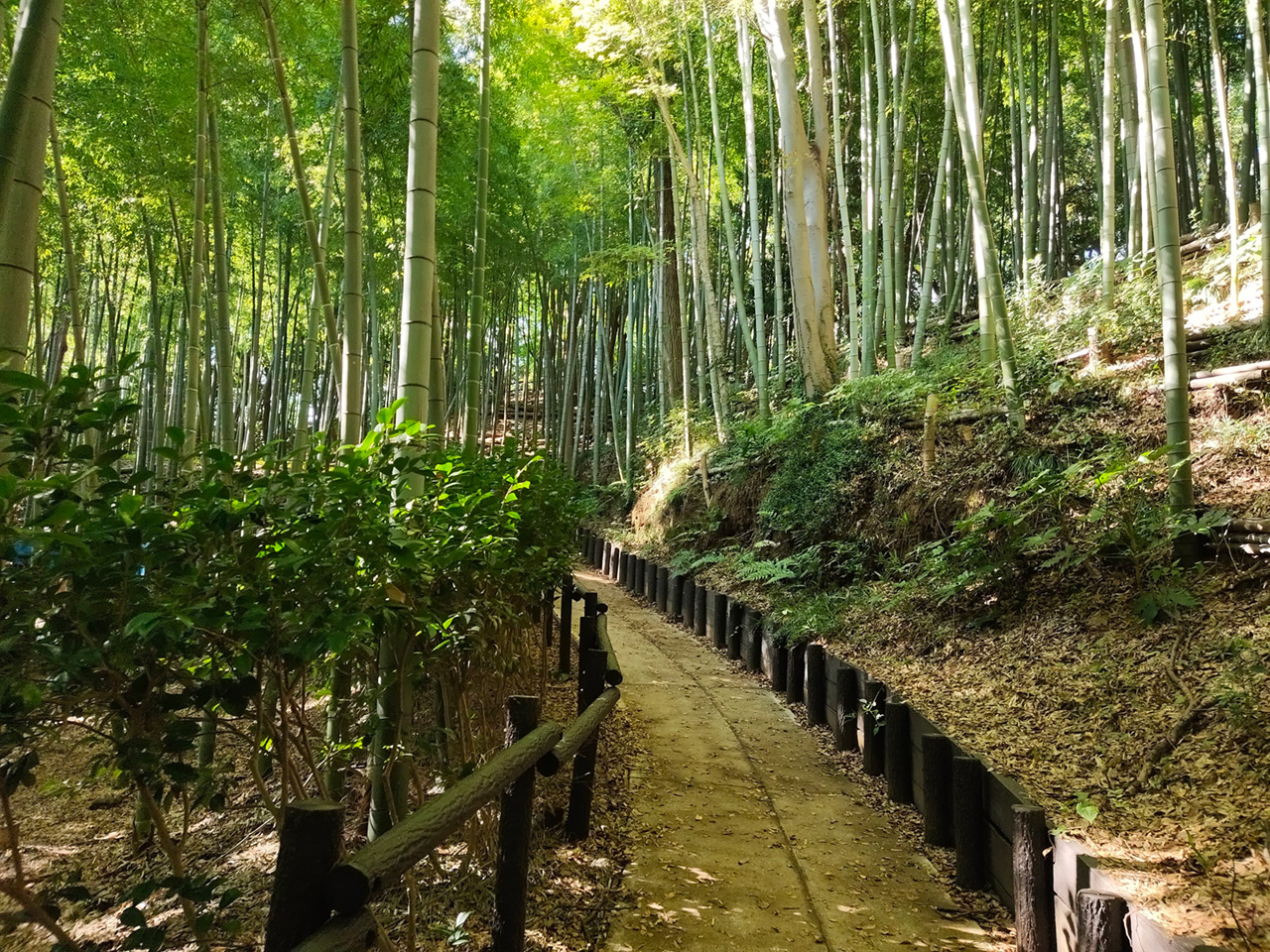 小机城の入り口から本丸へ向かいます。
