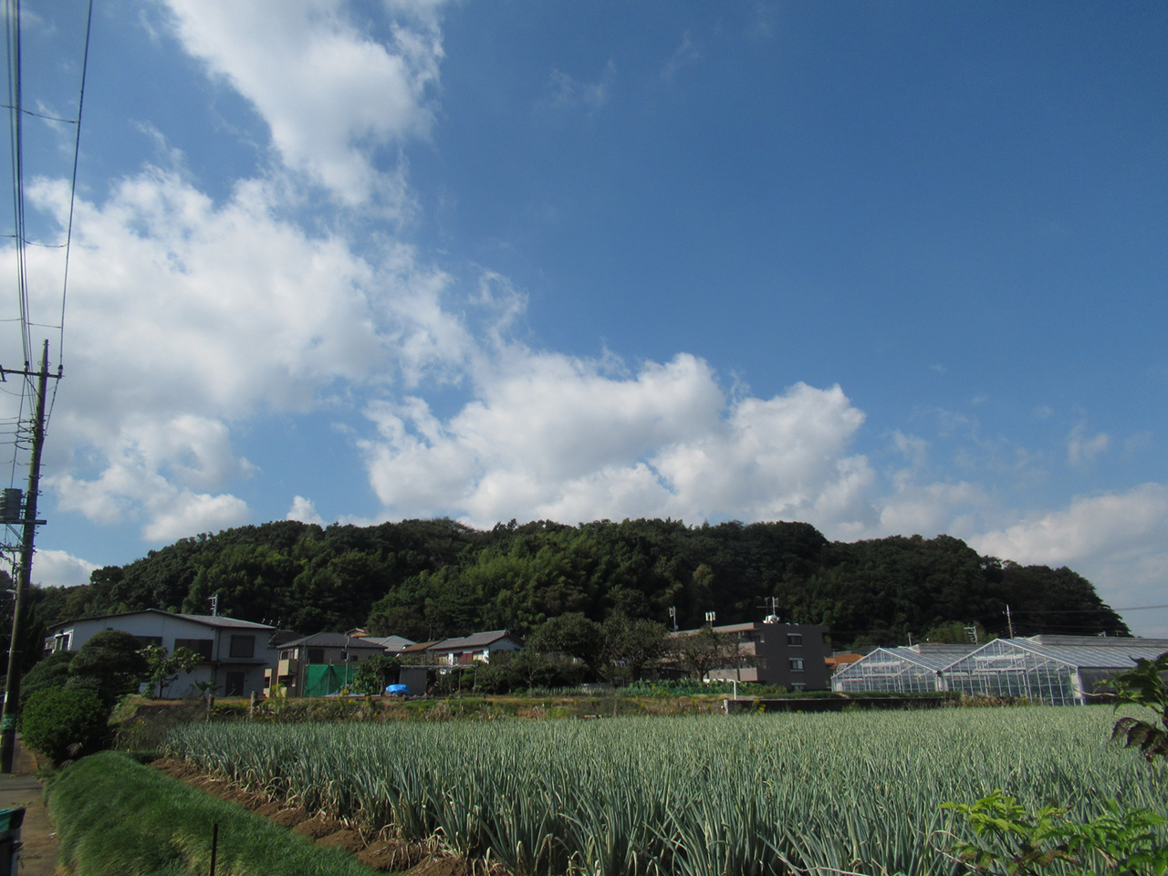 小机城址遠景